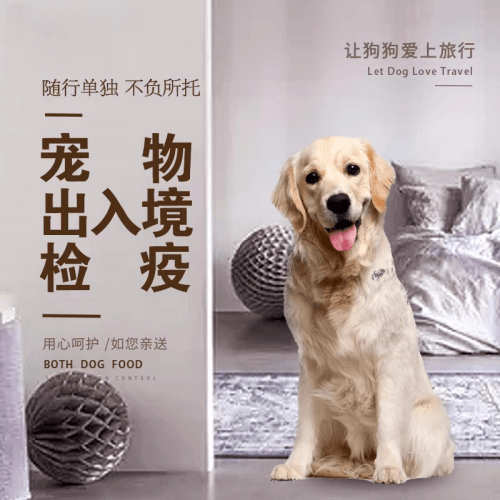 包头宠物托运到哥伦比亚猫狗宠物入境规定和