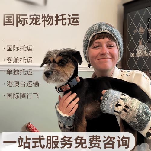 包头国际宠物托运到阿根廷宠物入境规定和要