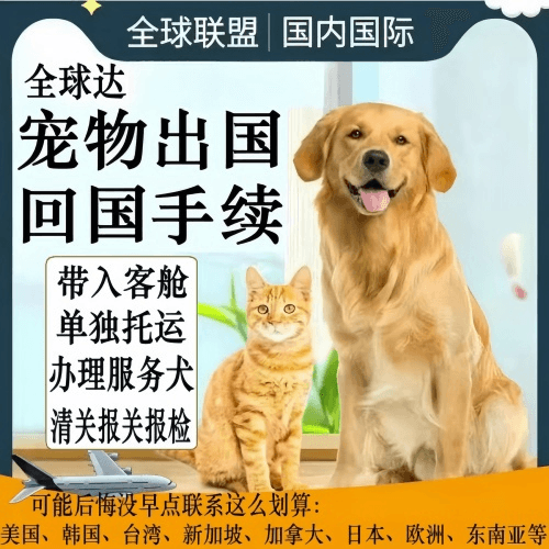 包头宠物托运到柬埔寨宠物入境规定和要求