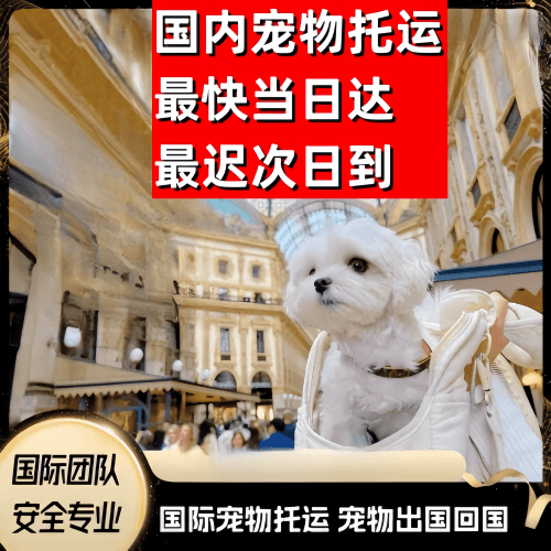 包头到澳大利亚（澳洲）宠物入境规定和要求